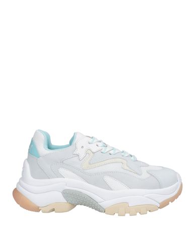 Ash Multicolor Leather Sneakers In Grey