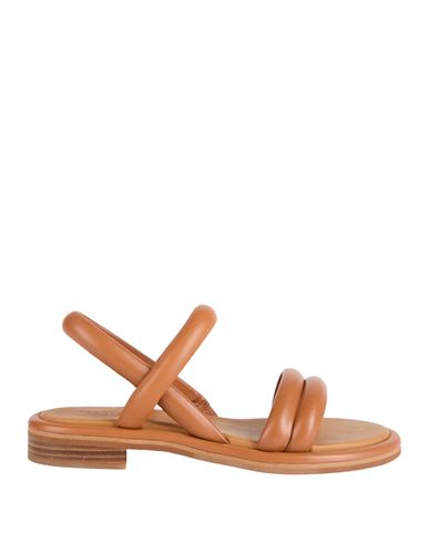See By Chloé Woman Sandals Tan Size 10 Lambskin In Brown