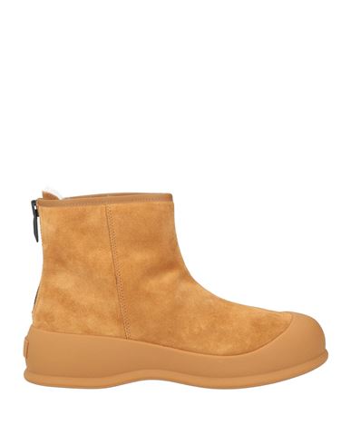 Botines de caña alta Mujer Camel 35,36,37,39,40,41,42 Mujer