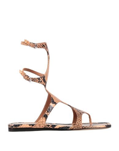 Paris Texas Woman Thong Sandal Beige Size 8 Leather In Multi