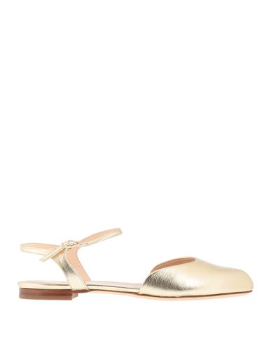 Bailarinas Mujer Oro 36,36.5,37,37.5,38,38.5,39,40 Mujer