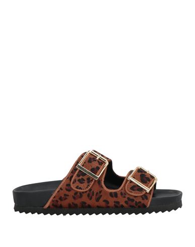 Colors Of California Woman Sandals Brown Size 7 Leather In Brown