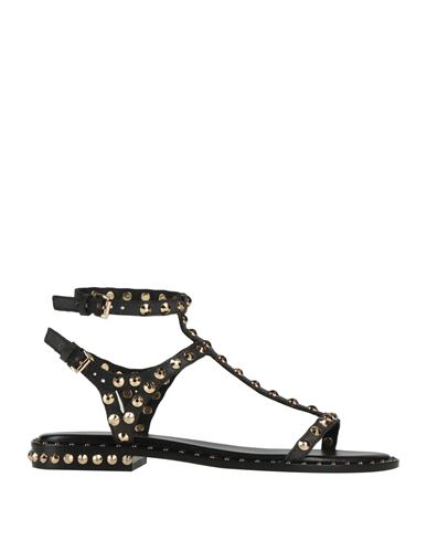 Ash Panic Studded Sandals In Black