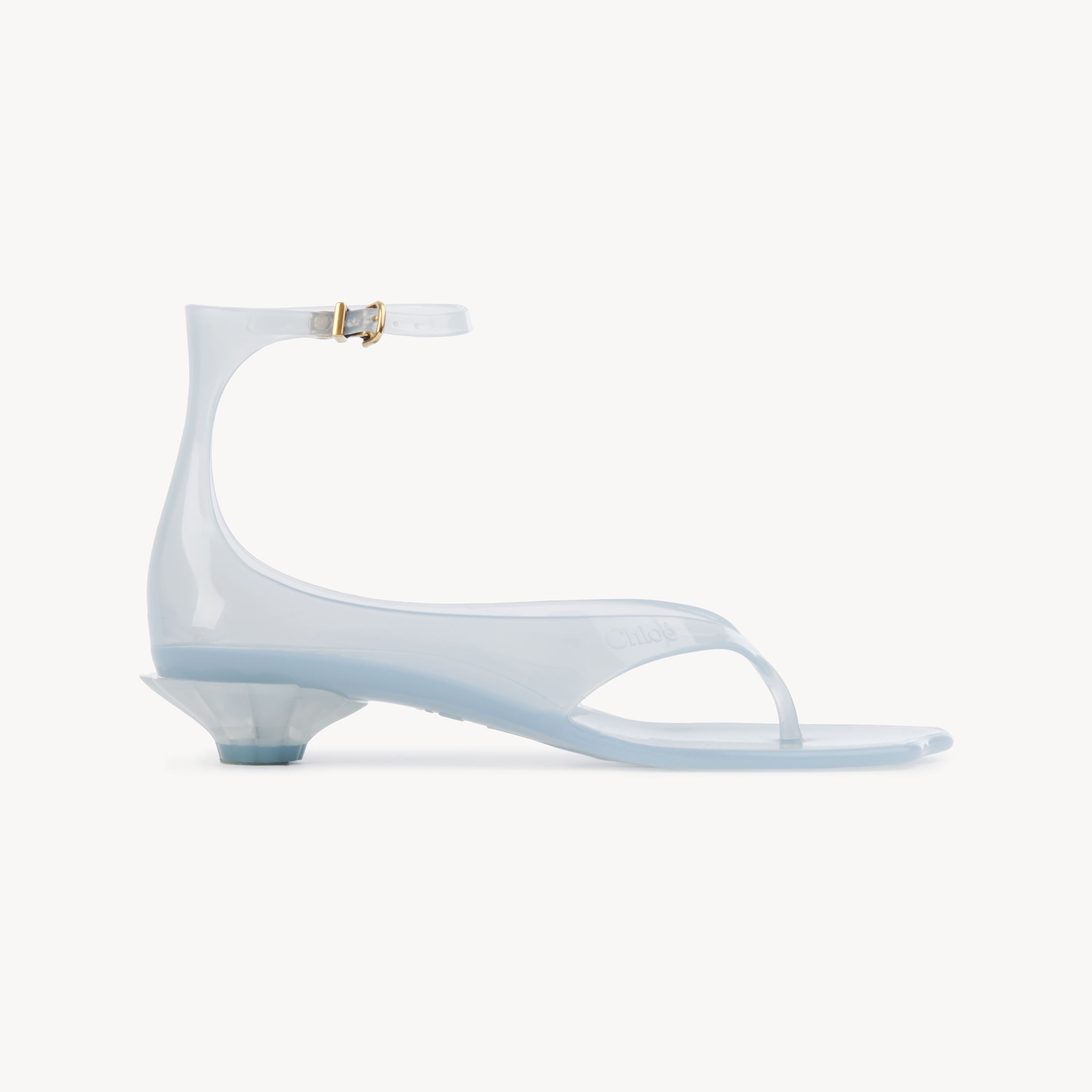 Chloé Jelly Sandals With Ankle Strap And Transparent Design In Green