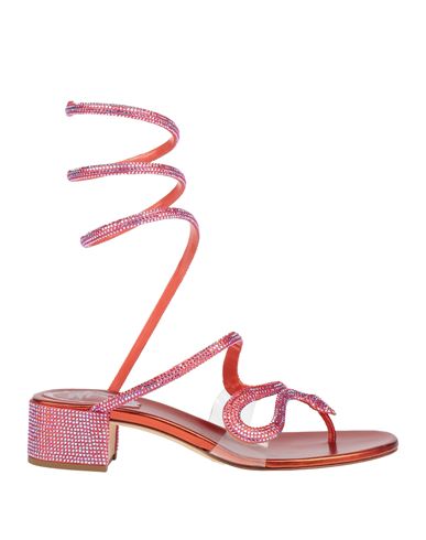 René Caovilla Rene' Caovilla Woman Thong Sandal Rust Size 6.5 Textile Fibers, Plastic