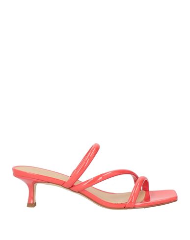 Sandale Damen Tomatenrot EU35.5/IT35.5,EU35/IT35,EU36/IT36 Damen