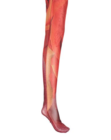 Just Cavalli Woman Socks & Hosiery Red Size S Polyamide, Elastane