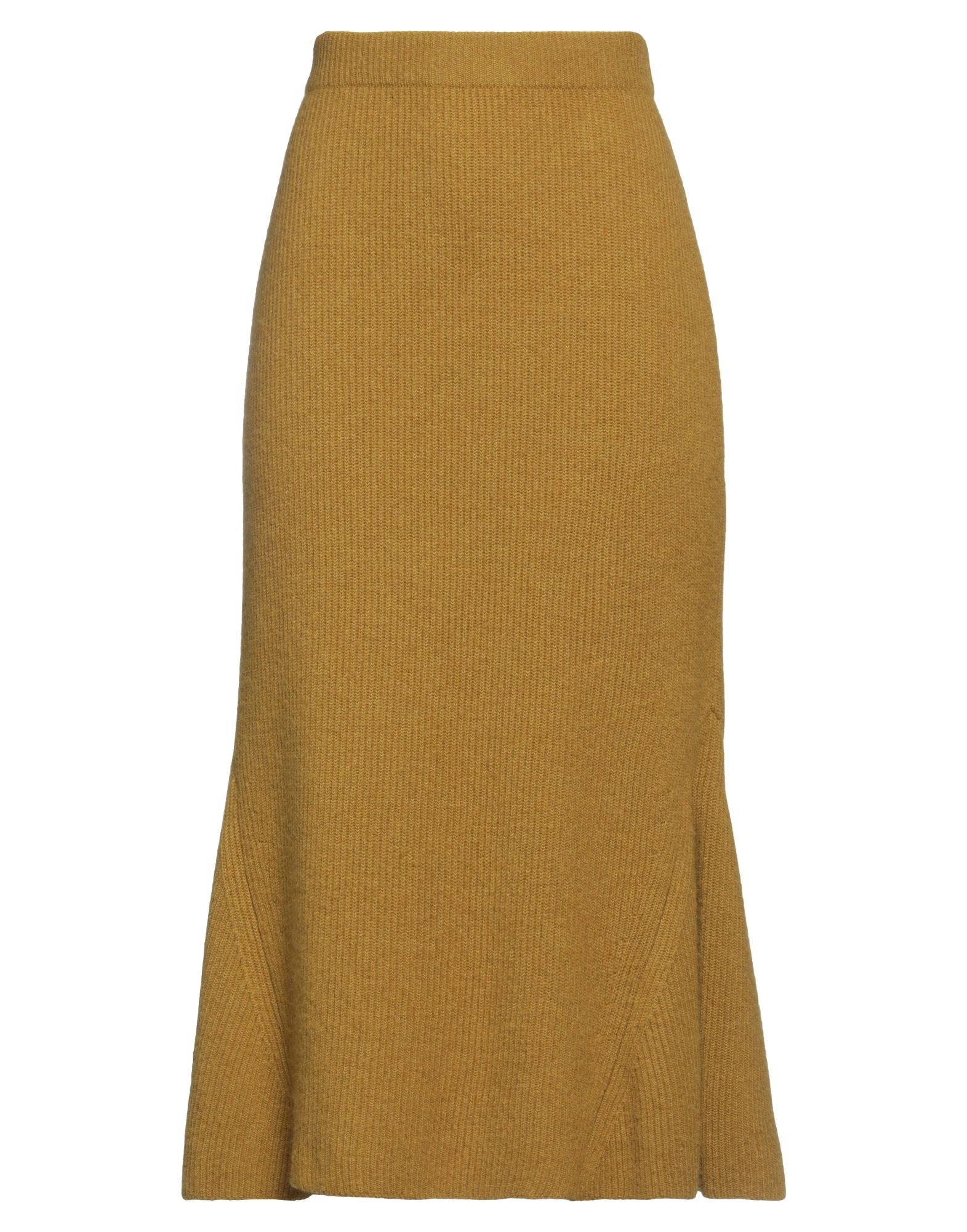 FABIANA FILIPPI BOTTOMWEAR Μίντι φούστα