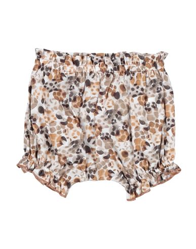 Zhoe & Tobiah Newborn Girl Shorts & Bermuda Shorts Brown Size 3 Cotton In Brown