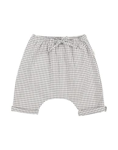 Teddy & Minou Newborn Girl Shorts & Bermuda Shorts Lead Size 3 Cotton, Polyester In Grey