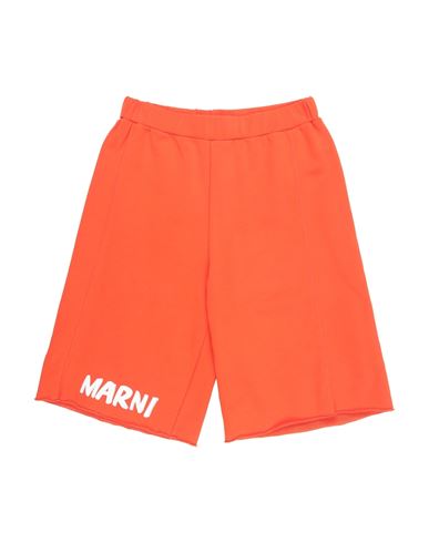 Marni Toddler Girl Shorts & Bermuda Shorts Orange Size 6 Cotton In Orange