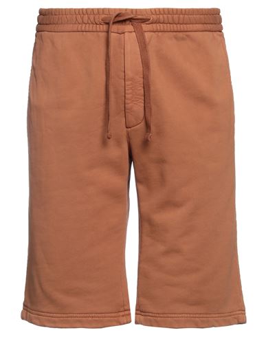 Circolo 1901 Man Shorts & Bermuda Shorts Brown Size 34 Cotton