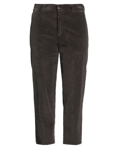 Pt Torino Woman Pants Dark Brown Size 30 Cotton, Elastane