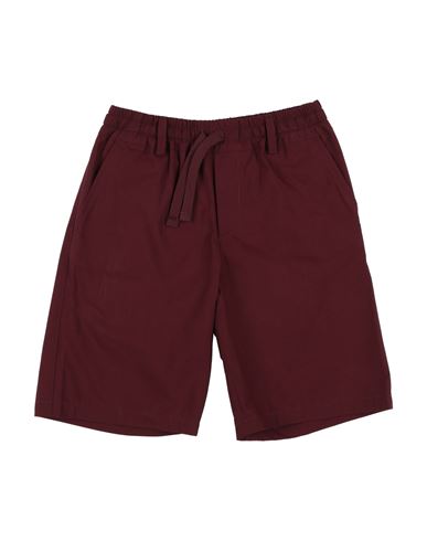Dolce & Gabbana Toddler Boy Shorts & Bermuda Shorts Burgundy Size 3 Cotton In Red