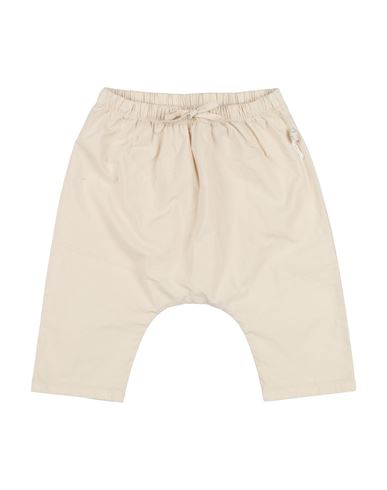 Teddy & Minou Newborn Boy Pants Beige Size 3 Cotton, Elastane In Beige
