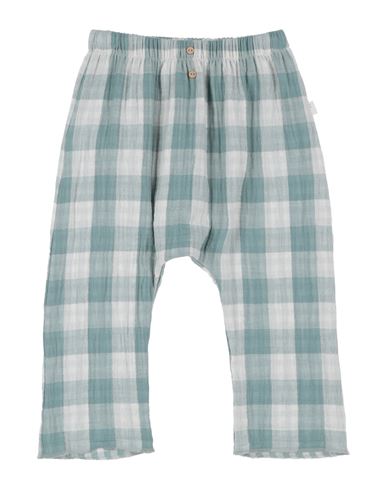 Teddy & Minou Newborn Boy Pants Sage Green Size 3 Cotton In Sage Green