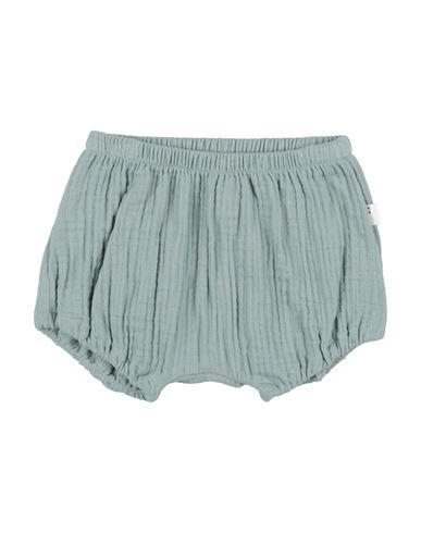 Teddy & Minou Toddler Boy Shorts & Bermuda Shorts Sage Green Size 1 Organic Cotton In Sage Green