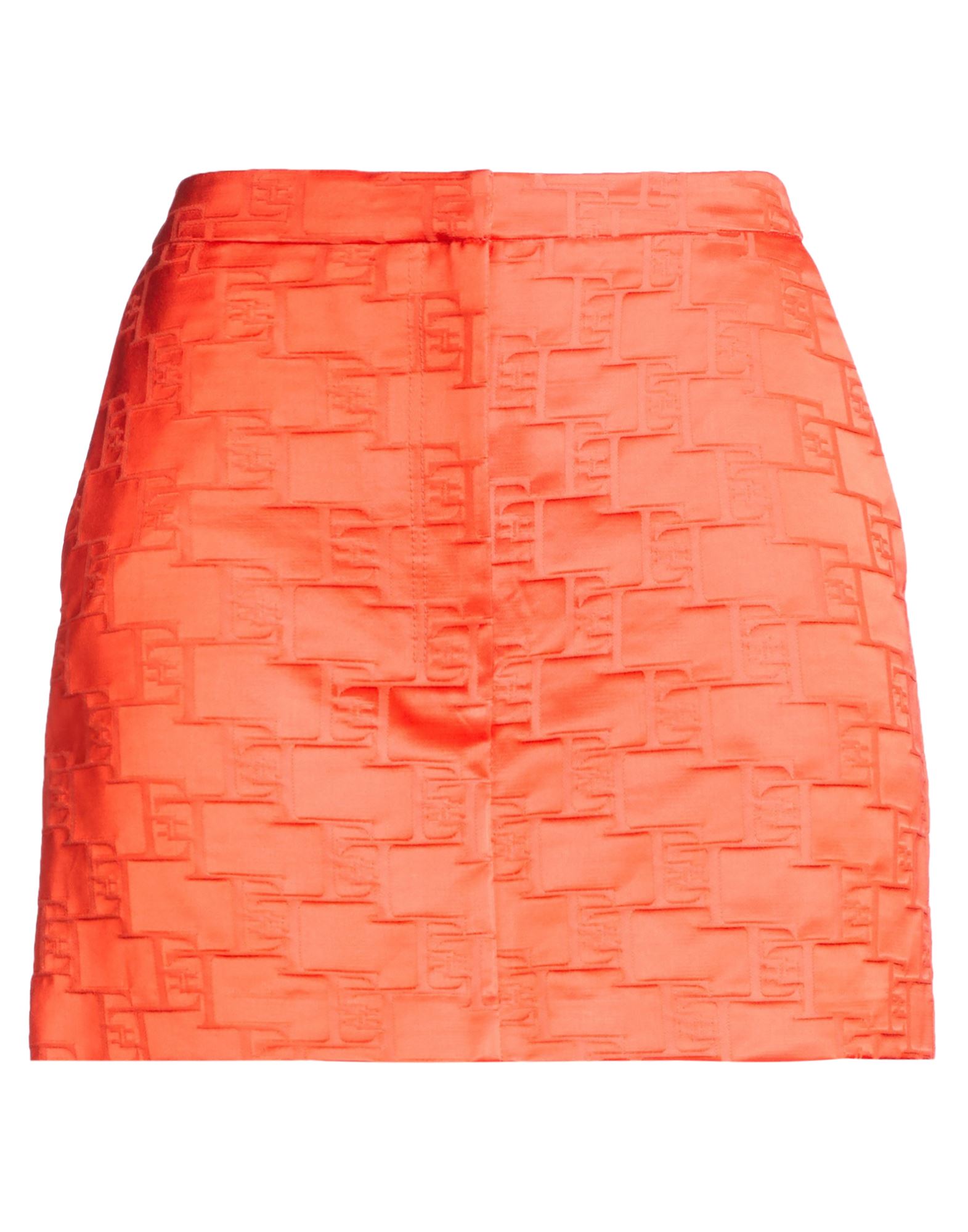 ELISABETTA FRANCHI BOTTOMWEAR Μίνι φούστα