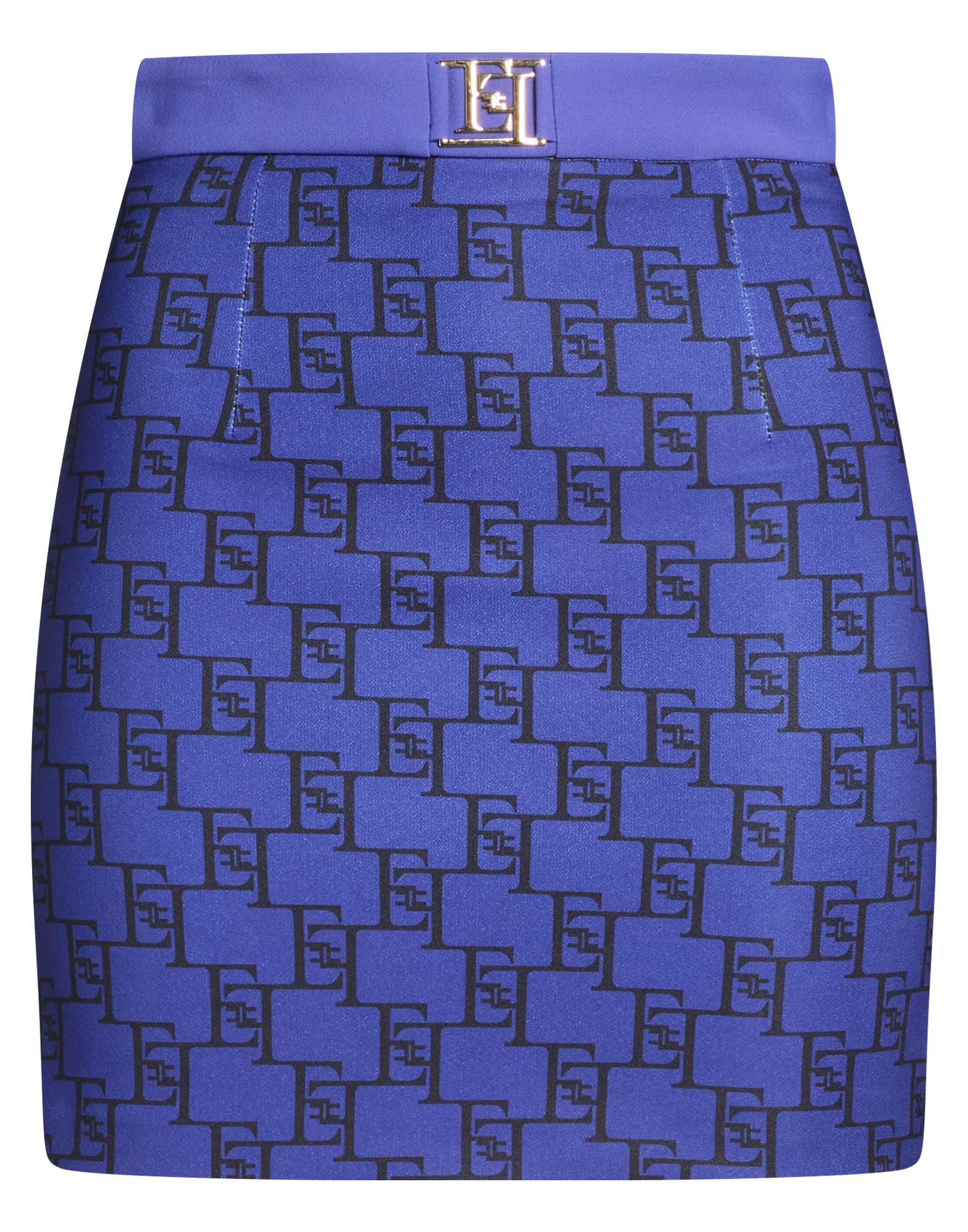 ELISABETTA FRANCHI BOTTOMWEAR Μίνι φούστα
