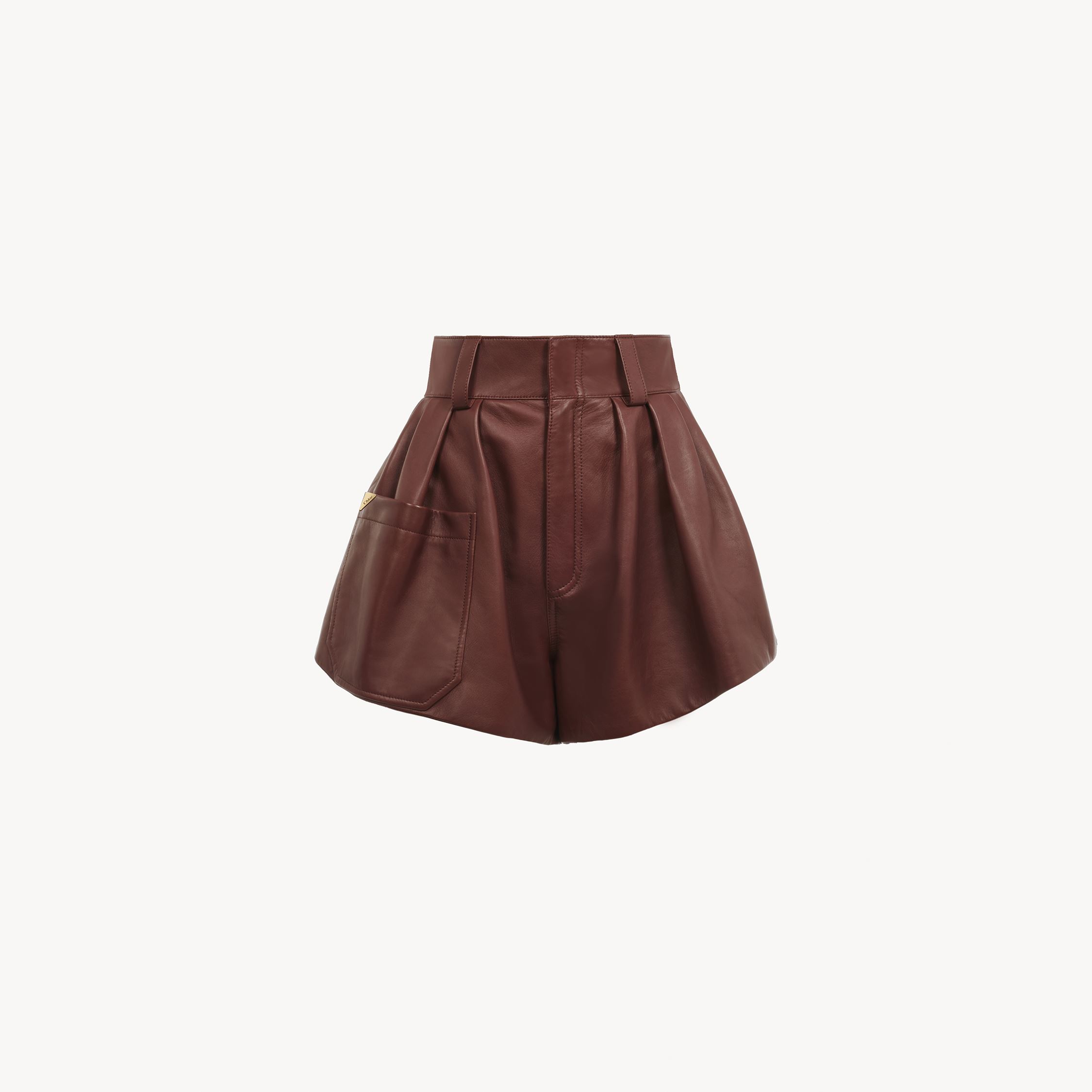Chloé High-waisted Leather Shorts In Brown