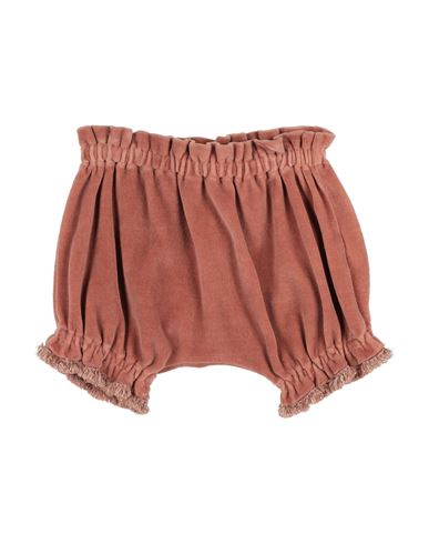 Zhoe & Tobiah Newborn Girl Shorts & Bermuda Shorts Antique Rose Size 3 Cotton, Polyamide
