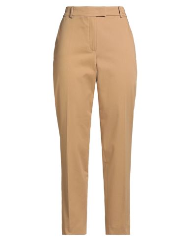 Luisa Spagnoli Woman Pants Camel Size 14 Cotton, Elastane In Brown