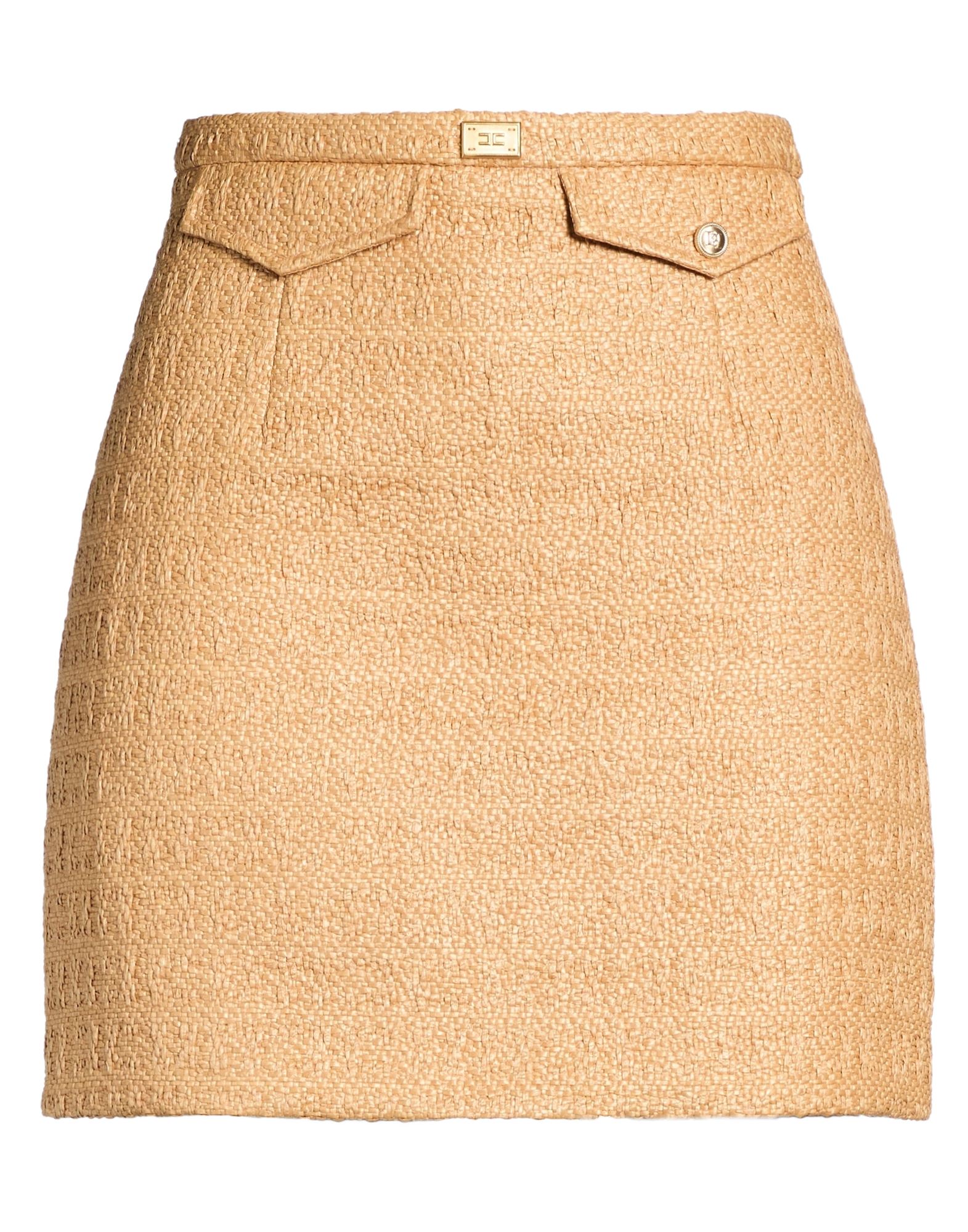 ELISABETTA FRANCHI BOTTOMWEAR Μίνι φούστα
