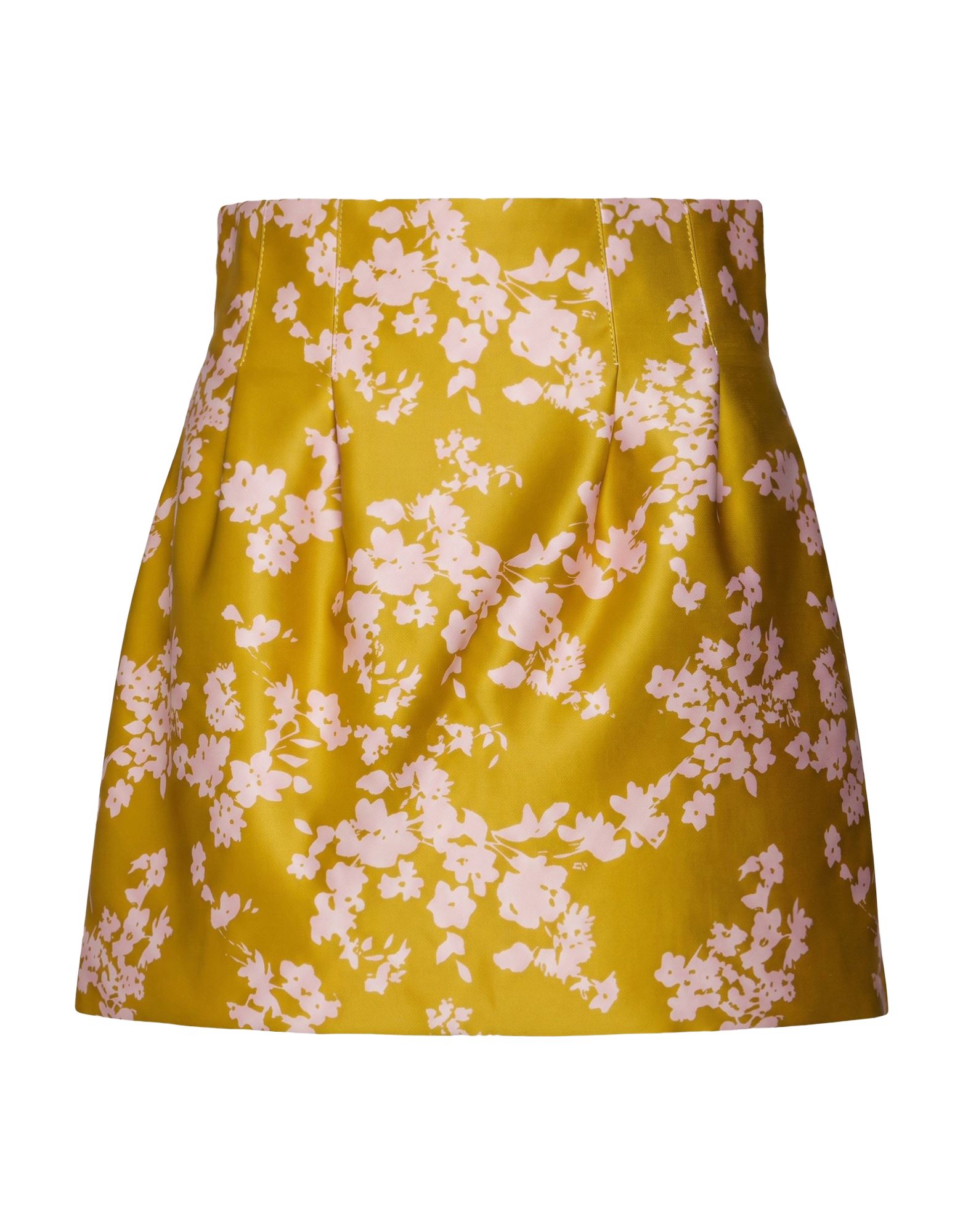 ELISABETTA FRANCHI BOTTOMWEAR Μίνι φούστα