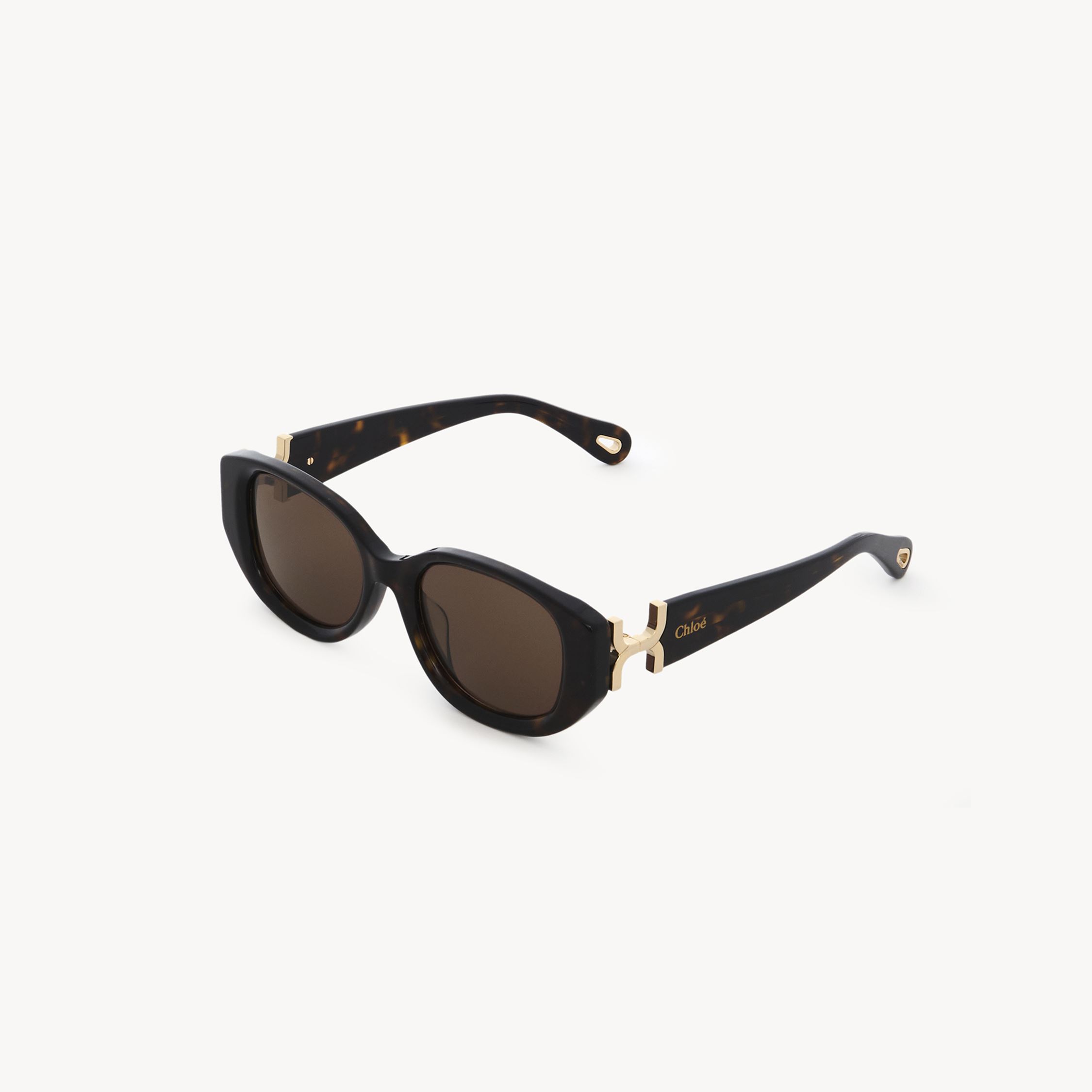 Chloé Marcie Sunglasses Brown Size Onesize 100% Acetate In Brown
