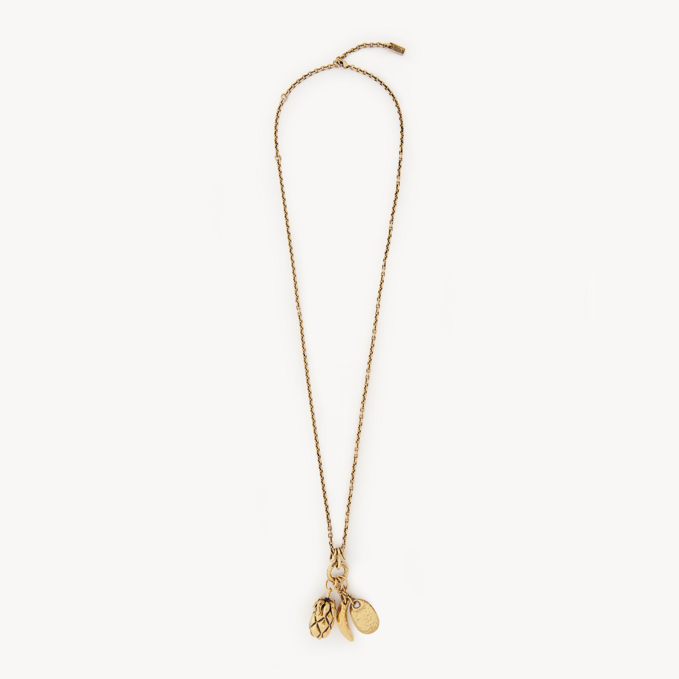 Chloé Women Metallic Necklace With Adjustable Closure And Charms In Brass Woman In Gold