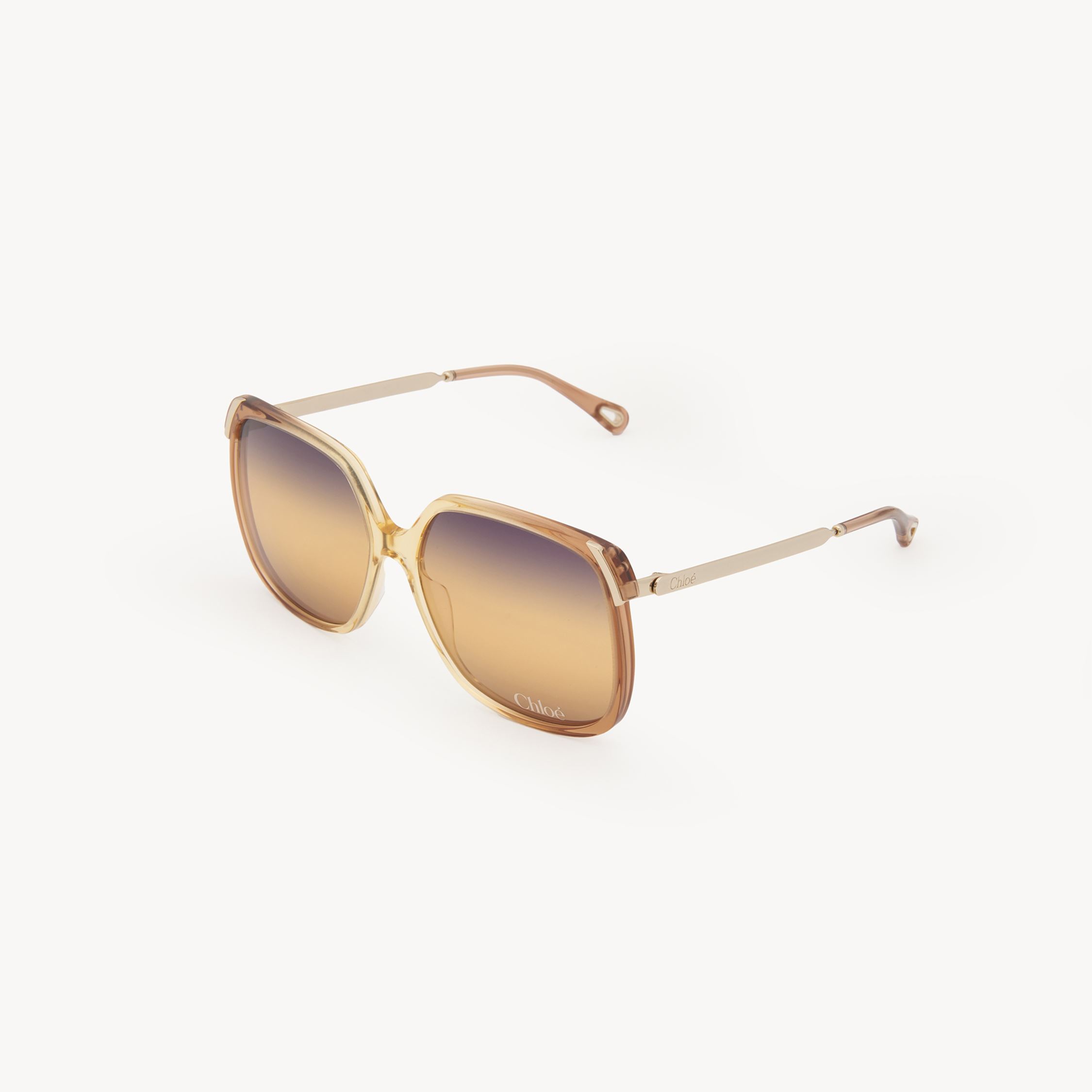 Chloé Chloe Women Printed Acetate And Metal Aly Sunglasses