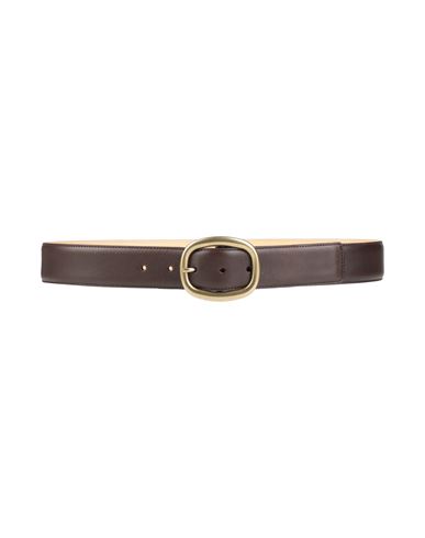 Sandro Man Belt Dark Brown Size 3 Cow Leather In Brown