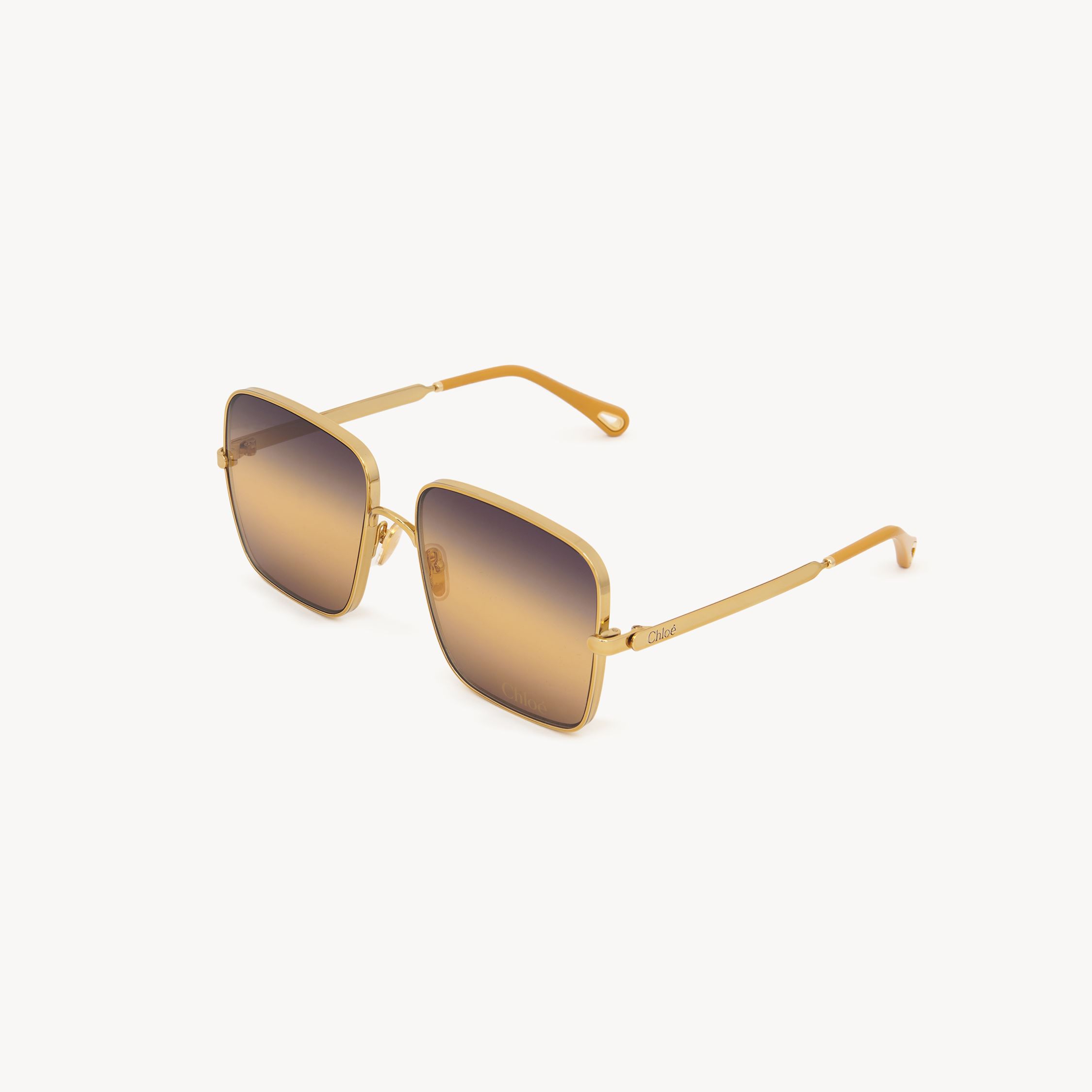 Chloé Full Frame Sunglasses In Multi