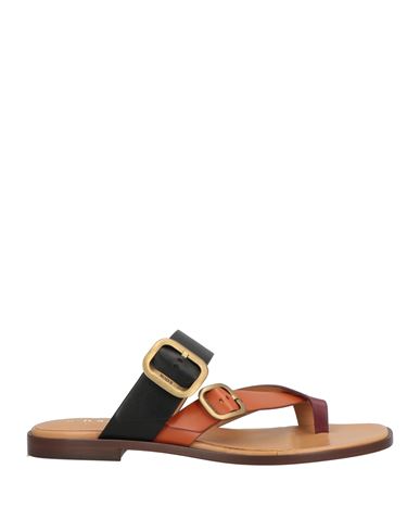 Tod's Woman Thong Sandal Tan Size 8 Leather