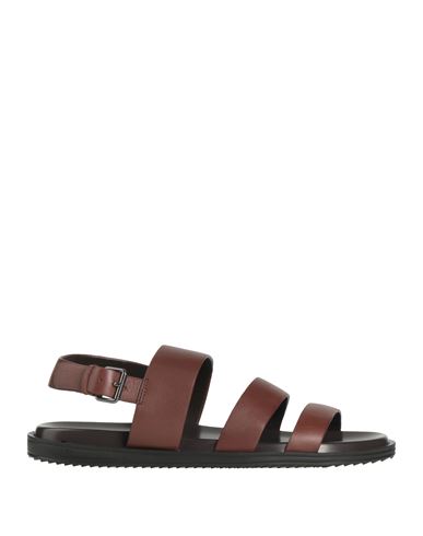 Cerruti 1881 Man Sandals Chocolate Brown Size 9 Cow Leather In Brown