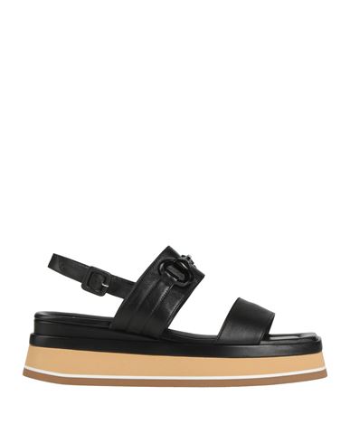 Walter Violet Woman Sandals Black Size 7 Leather