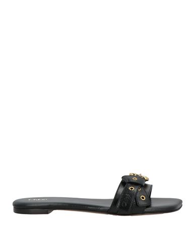 Chloé Woman Sandals Black Size 6.5 Leather In Black
