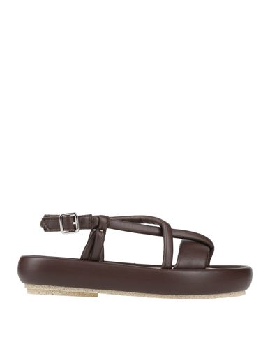 Patrizia Bonfanti Woman Sandals Chocolate Brown Size 6 Leather In Brown