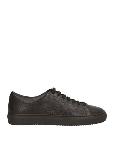 Doucal's Man Sneakers Dark Brown Size 8.5 Leather In Brown