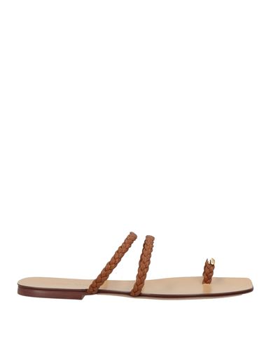 MARIA LUCA MARIA LUCA WOMAN THONG SANDAL BROWN SIZE 8 COW LEATHER 