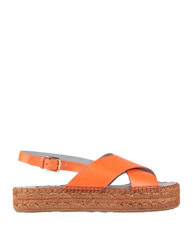 Dolce & Gabbana Woman Espadrilles Orange Size 8.5 Calfskin In Orange