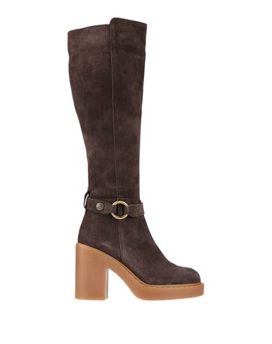 Tosca Blu Woman Boot Dark Brown Size 7 Leather In Brown