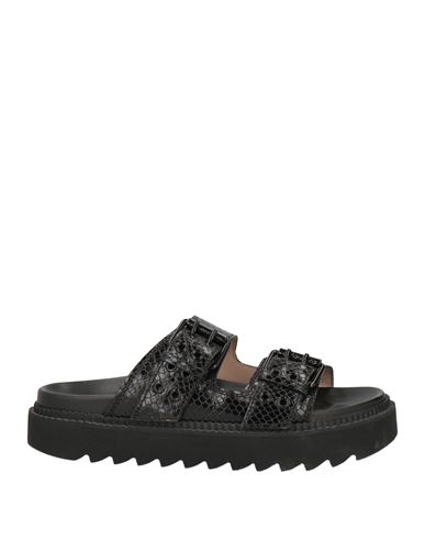 Free Lance Woman Sandals Black Size 7 Leather In Black