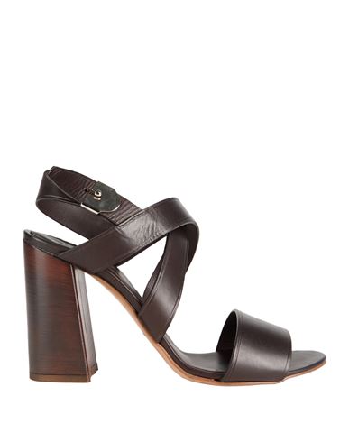 Silvano Sassetti Woman Sandals Dark Brown Size 6 Leather In Brown