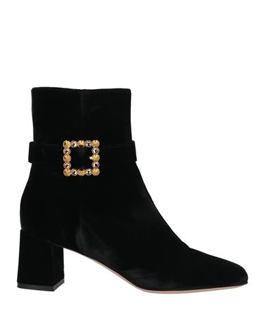 Gianvito Rossi Woman Ankle Boots Black Size 8 Textile Fibers In Black