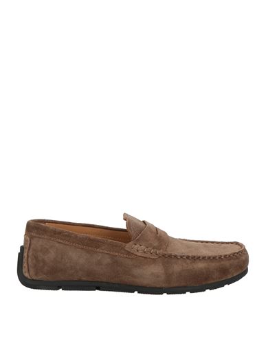 Cerruti 1881 Man Loafers Brown Size 7 Leather In Brown