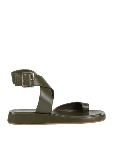 Gia Borghini Woman Thong Sandal Military Green Size 8 Leather In Green
