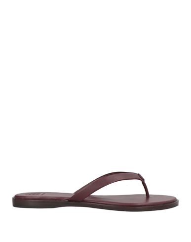 Tory Burch Woman Thong Sandal Dark Brown Size 9.5 Calfskin In Brown