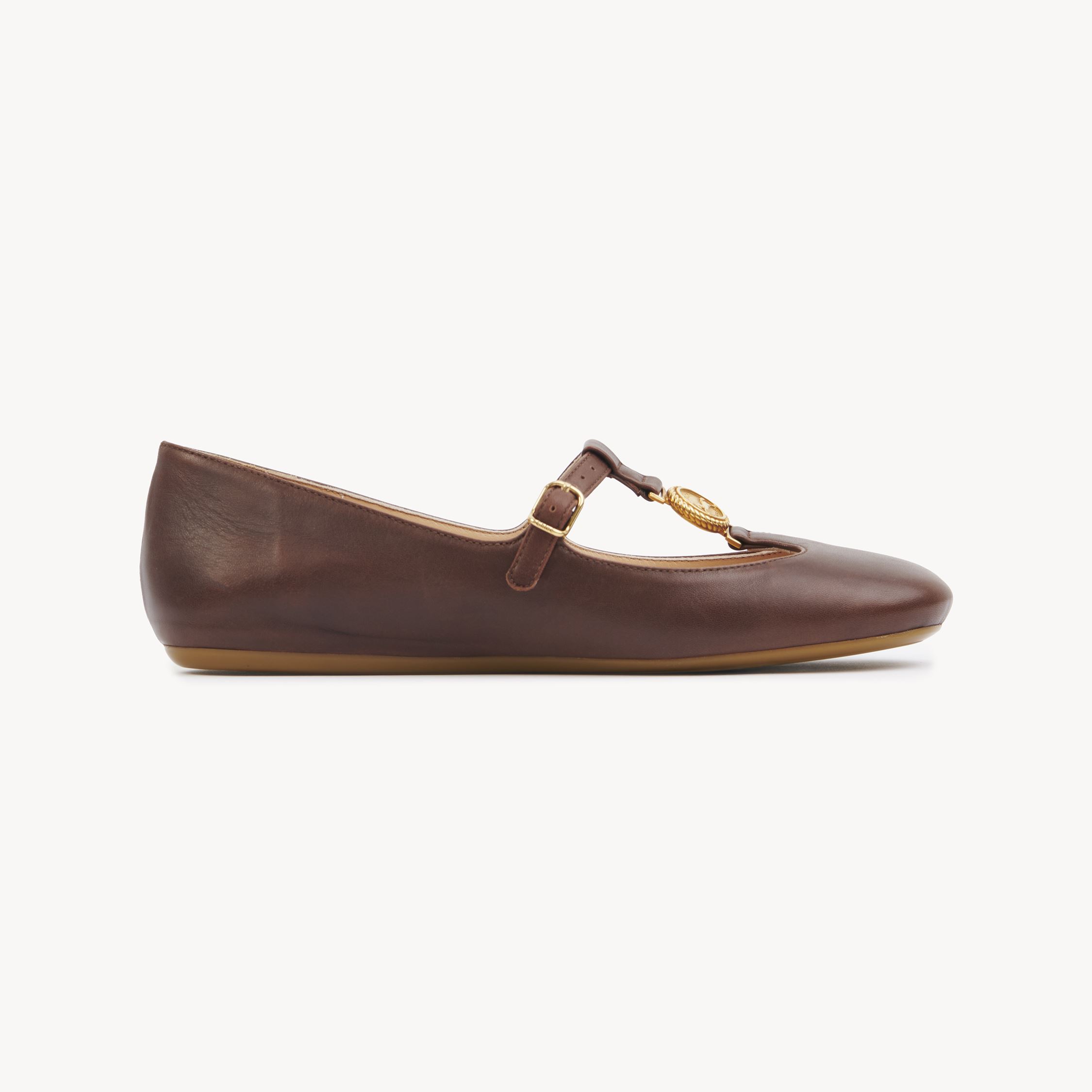 Chloé Leonore Embellished Leather Ballet Flats In Brown