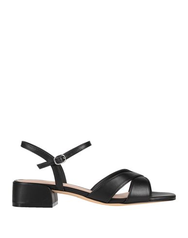 Stuart Weitzman Woman Sandals Black Size 7.5 Leather In Black